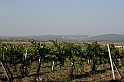 Karpaty+Krym 06.2007 332